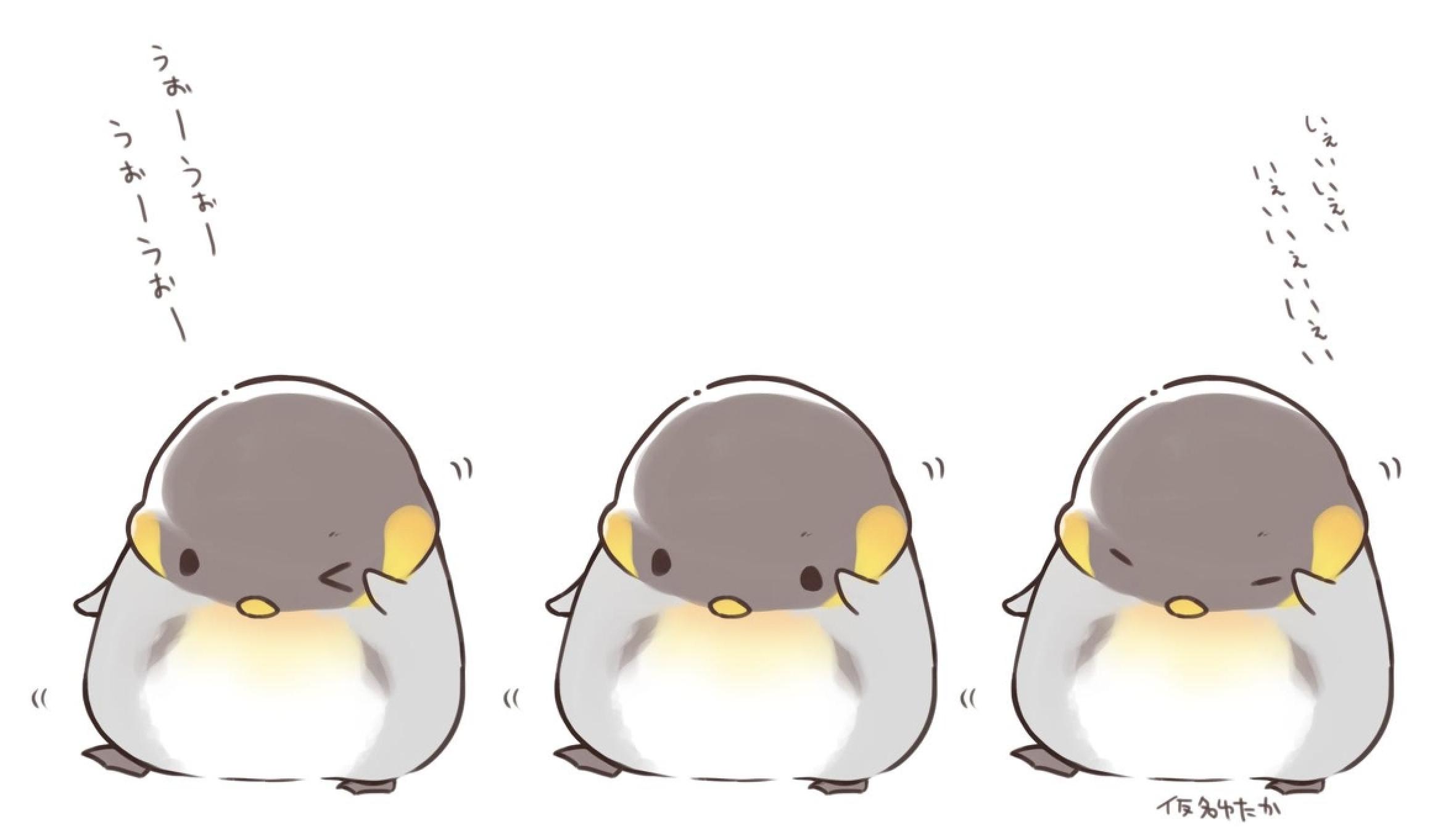 ȫ綼ҿ佱
